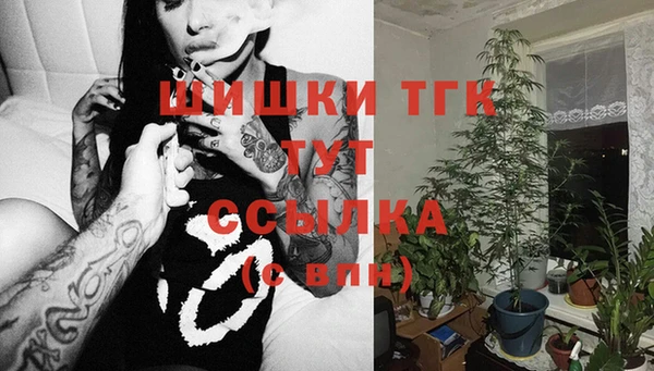дживик Бронницы