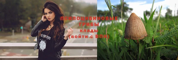 дживик Бронницы