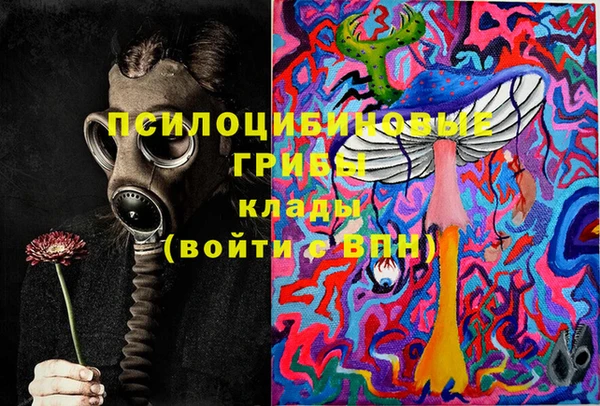 СК Бородино
