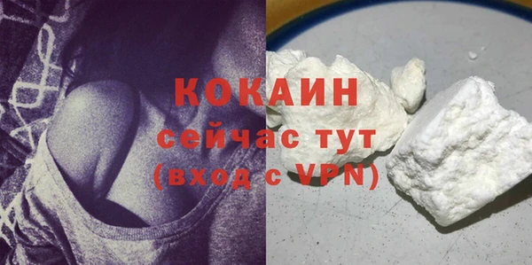 СК Бородино